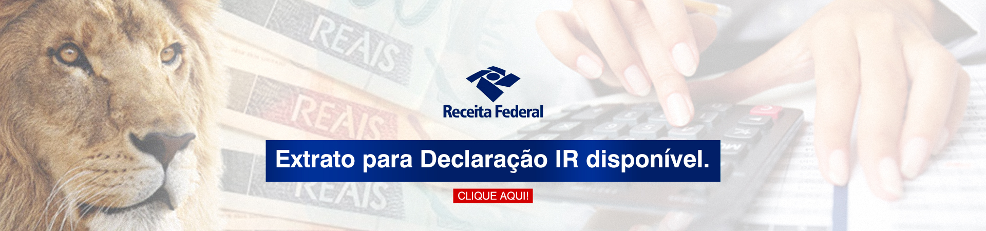 IR 2025
